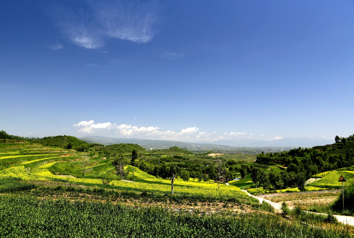 美丽乡村西宁市湟中区大直沟
