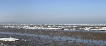 D8AE5E91-B710-4613-985E-6D08DF3809C3/L0/001