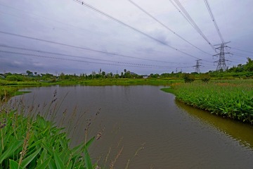 DSC_0319_37