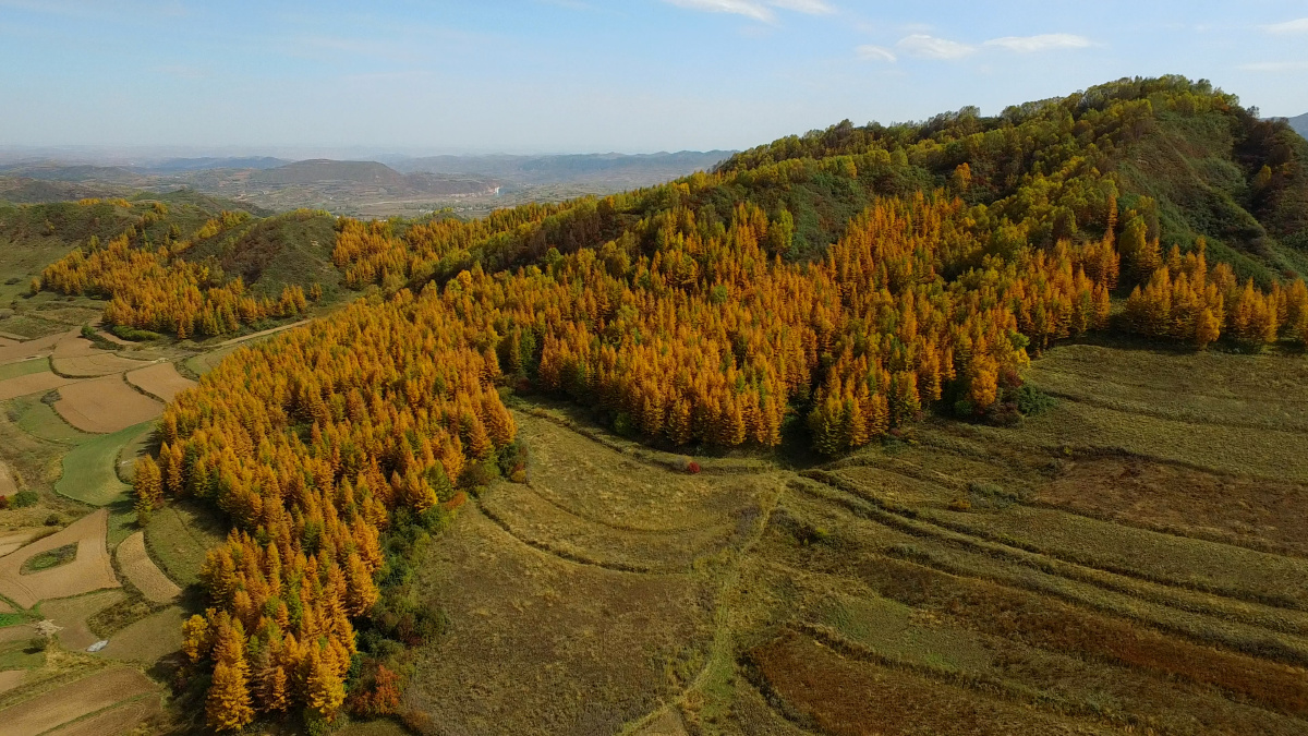 渭源县黄香沟风光