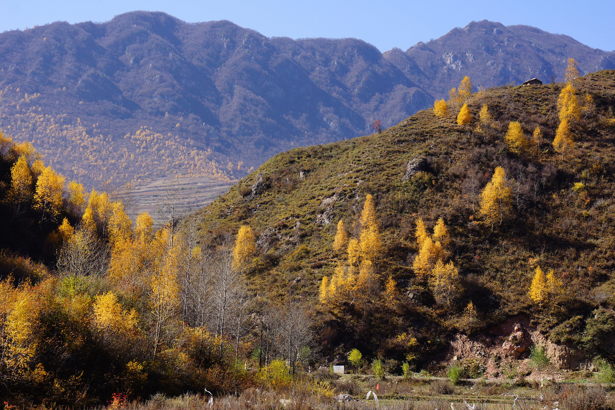 渭源县黄香沟风光