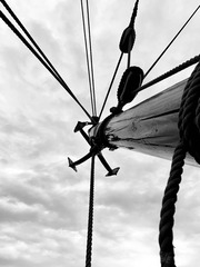 _DSC0962