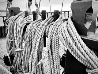 _DSC0978