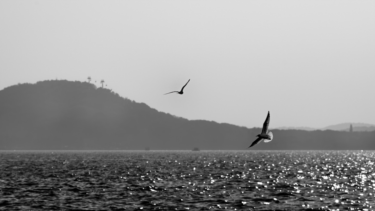 武汉东湖听涛观海