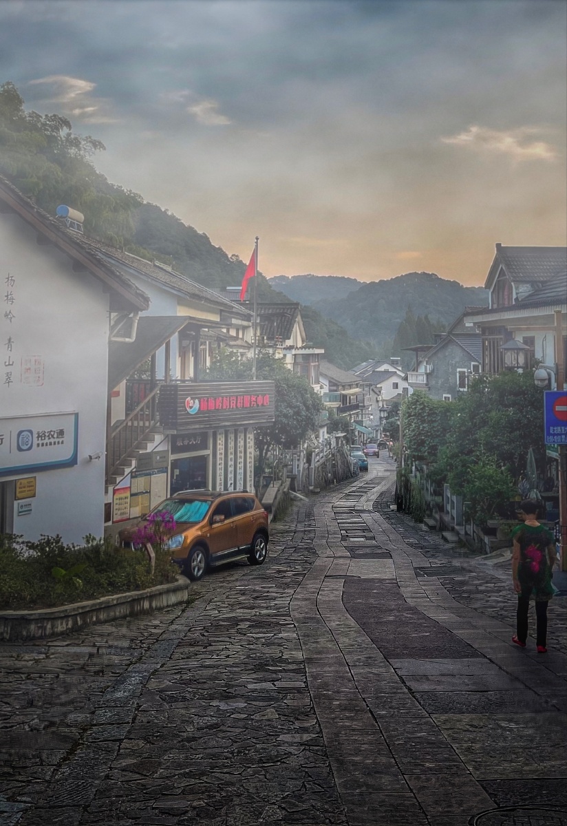 杨梅岭村狮峰龙井的核心产地生态极好这里的农民早已过上城里人向往的