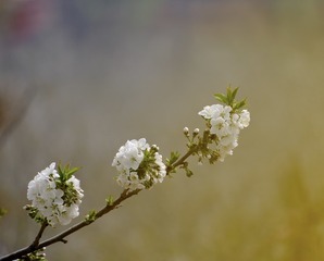 43B62CE1-641E-463B-9E6B-2E0EDFCE55AC/L0/001