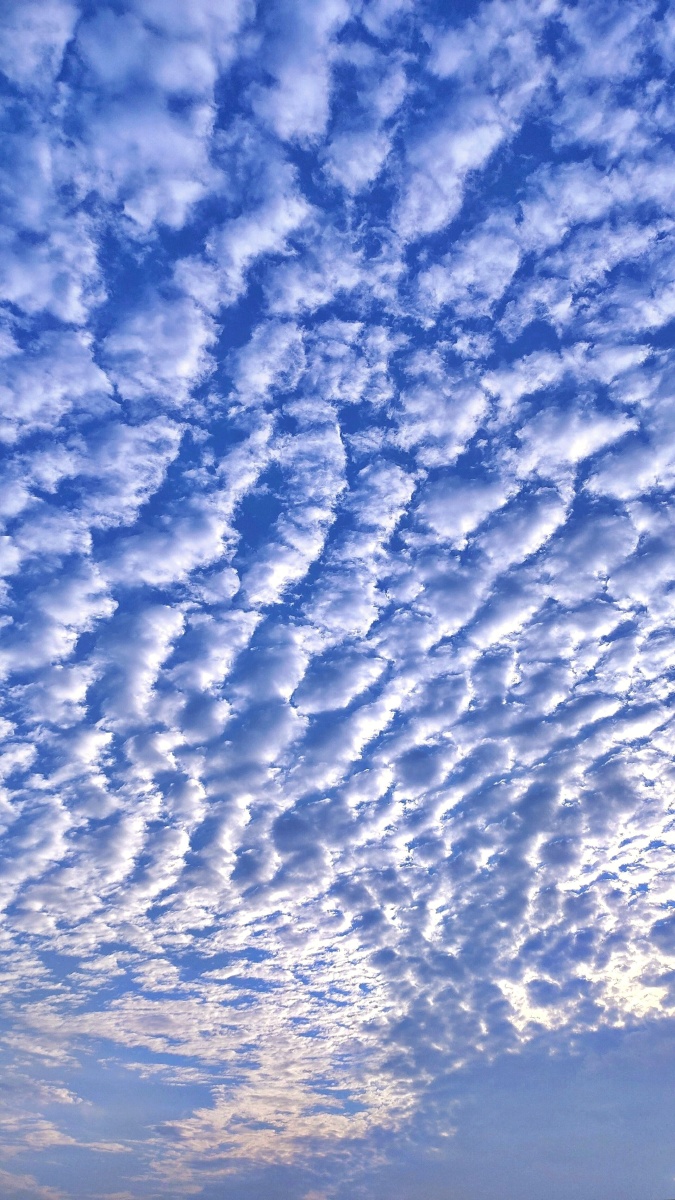 鱼鳞斑在校最后一更列车即将发动请各位乘客做好准备