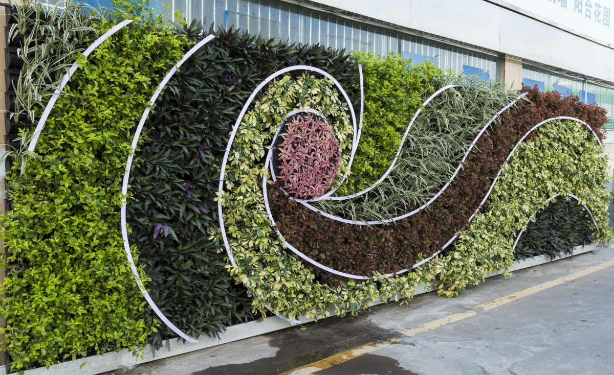 室外绿墙垂直绿化围挡绿化绿墙植物墙