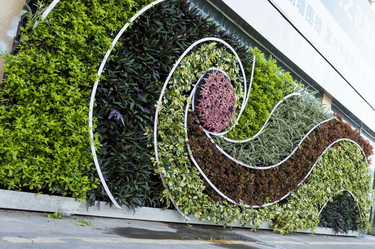 室外绿墙垂直绿化围挡绿化绿墙植物墙