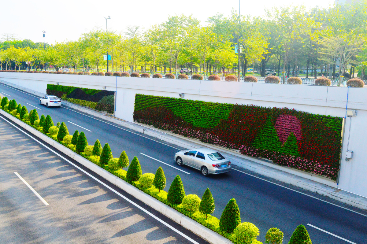 垂直绿化绿墙隧道绿化室外绿墙围档绿墙