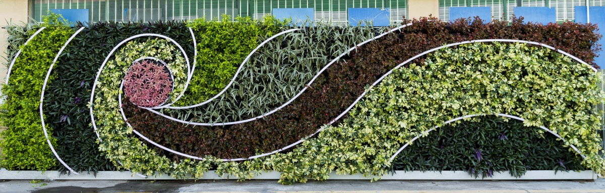 室外绿墙垂直绿化围挡绿化绿墙植物墙