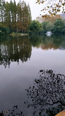 935593