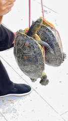 948051