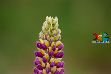 364549