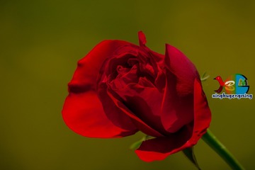 354673