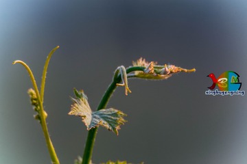 328053