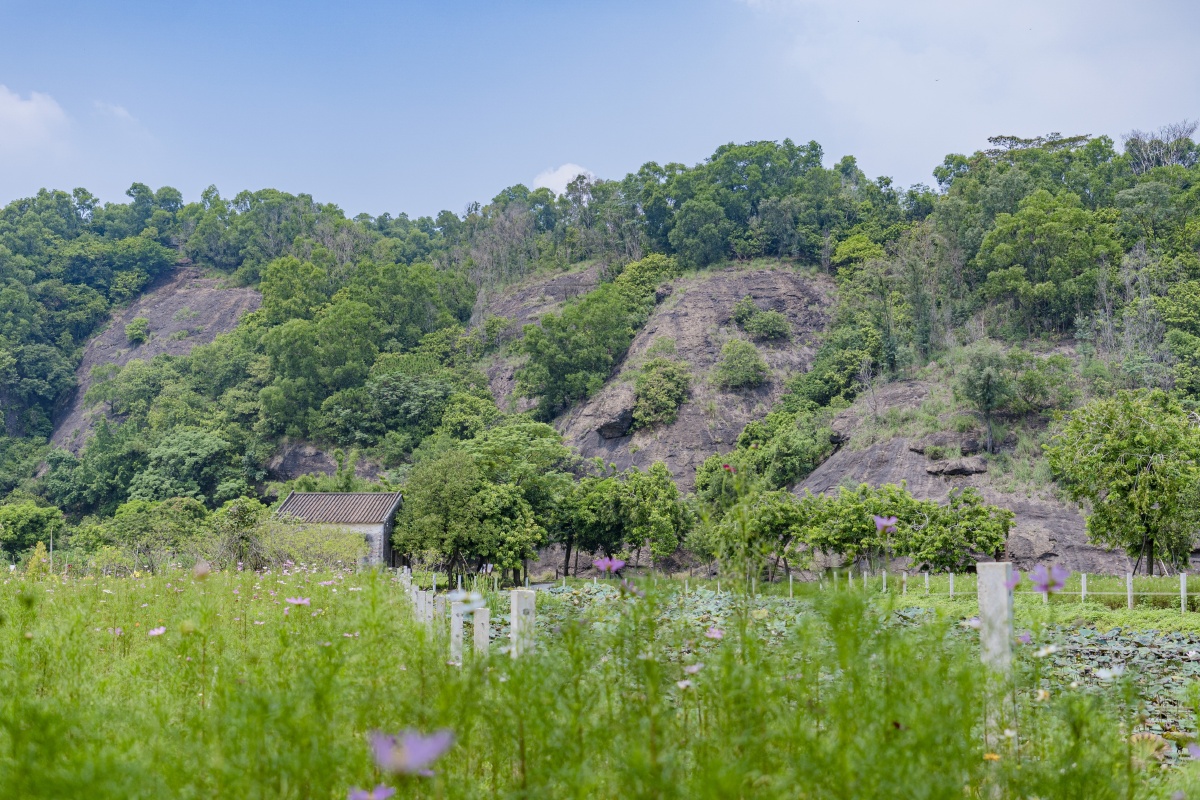 中山市黄圃省级地质公园海蚀遗址景区