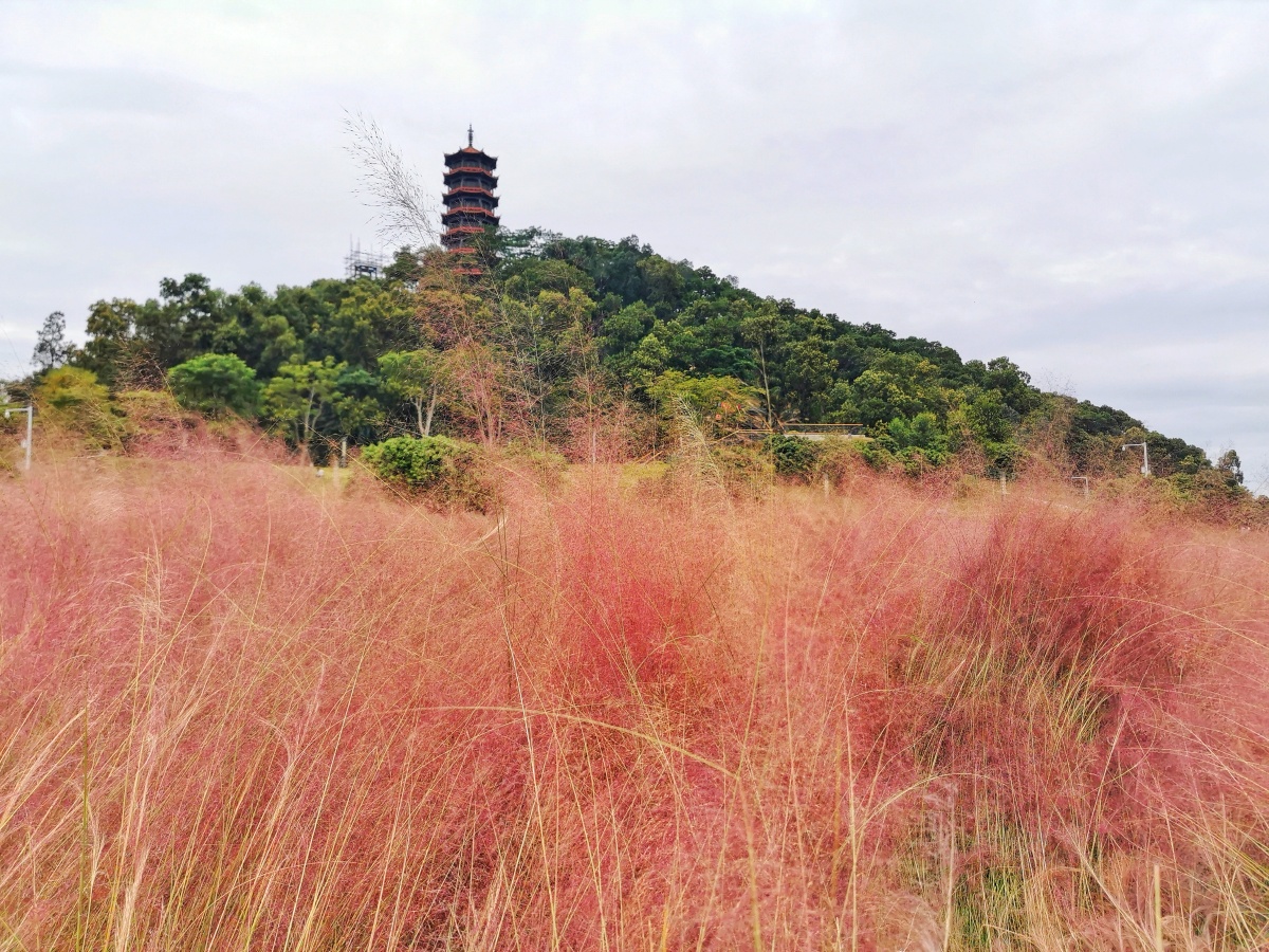 光明红花山公园
