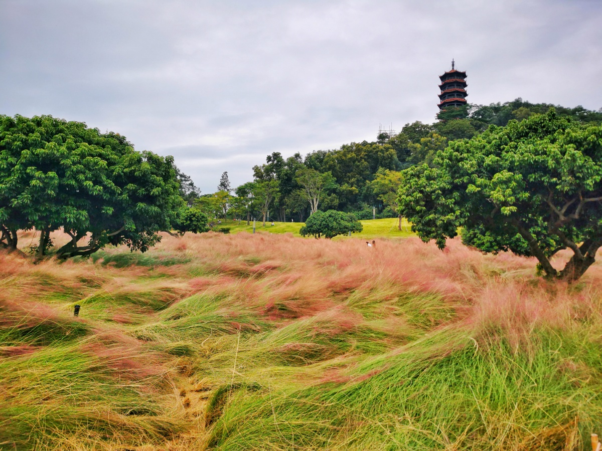 光明红花山公园