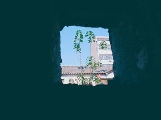 10807