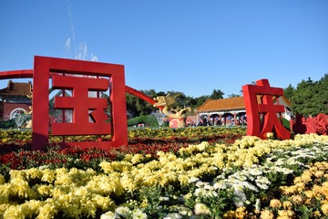 87657