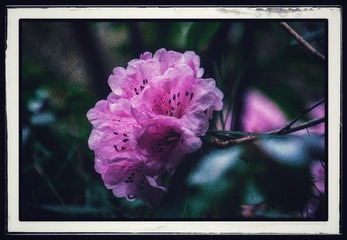 9FBB7B61-CCDE-487F-B215-00FCC375C038/L0/001