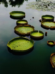 57639D1C-6670-49BC-AC1D-6FD122C862E3/L0/001