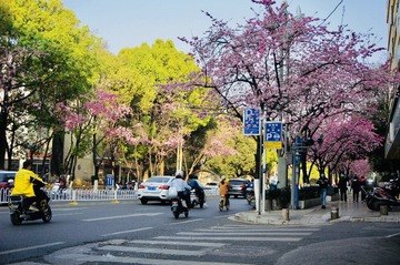 D09936B9-A07D-4D8B-9B03-F3A550741BB2/L0/001