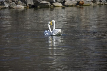 _DSC7743