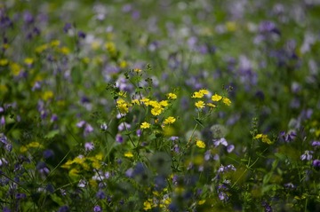 _DSC8610