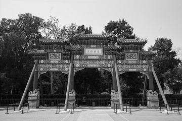 DSC01175