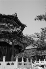 DSC01169
