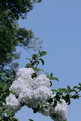 7C15B13C-EE7F-43D4-954A-CF7661394C74/L0/001