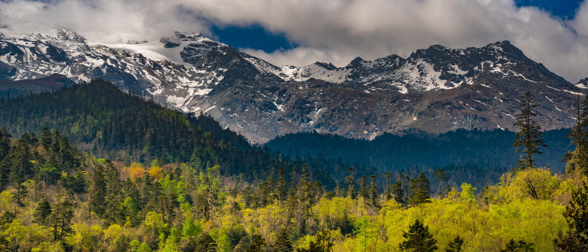 雪山与森林