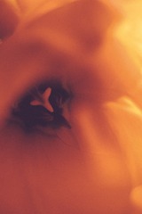 A0FF79C2-E7D4-46F0-AC05-69467E542B8D/L0/001
