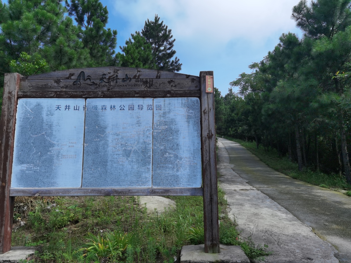 天井山公园随手拍