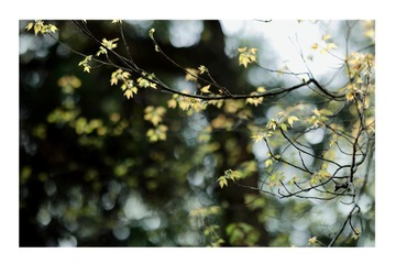B233FD09-67DE-4652-9B43-2D470DF6AD17/L0/001