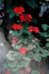 C515F223-F2E9-4849-A55F-B0915614588B/L0/001