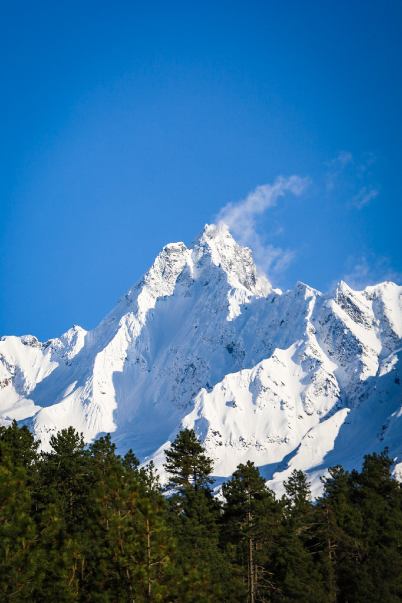 岗云杉林の雪山 - savitar99 - 图虫