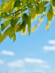 A99886FF-2837-4F1F-B465-A1D92D3FF1D7/L0/001