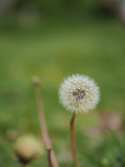 0CEE832B-2529-4CA8-B89F-663277A1A9C3/L0/001