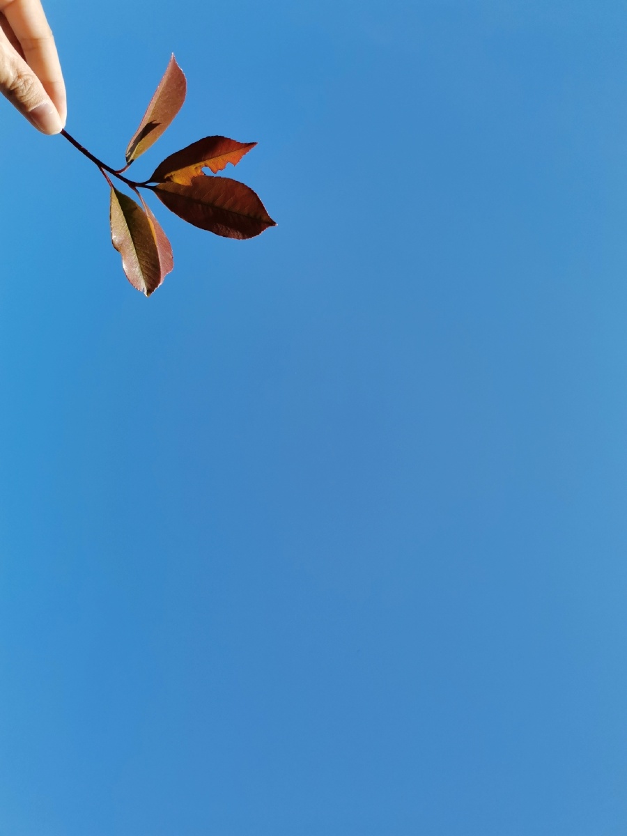 让人陶醉的天空蓝