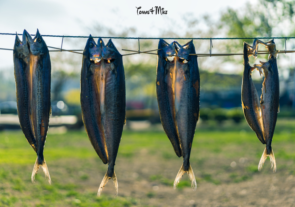付家庄海边有晾鱼的商户,借着夕阳随手拍