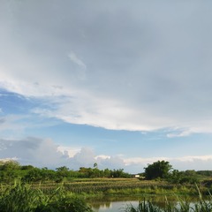 4074268