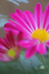 855338F1-324E-4D87-B109-8A24E39623F5/L0/001