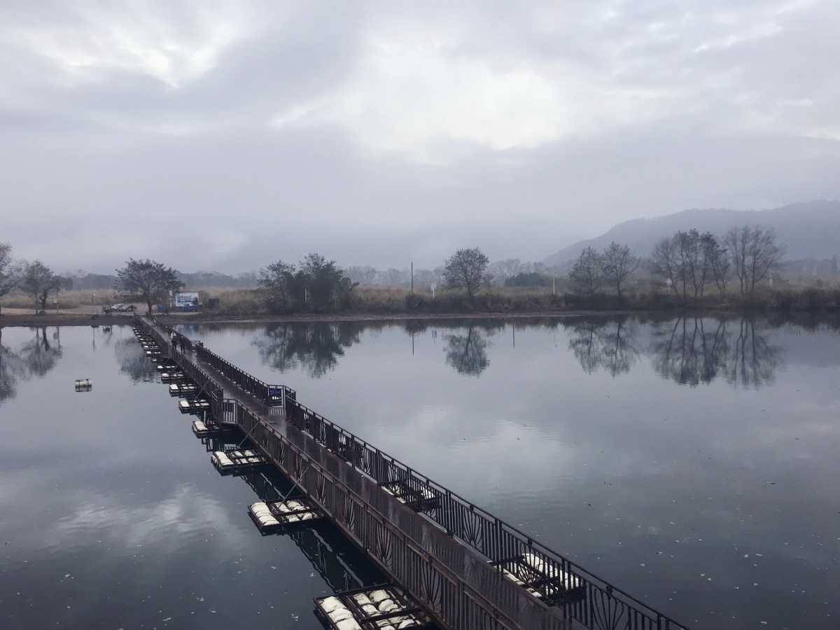 浮桥.拍摄于福建,该处为霍童溪上的浮桥.