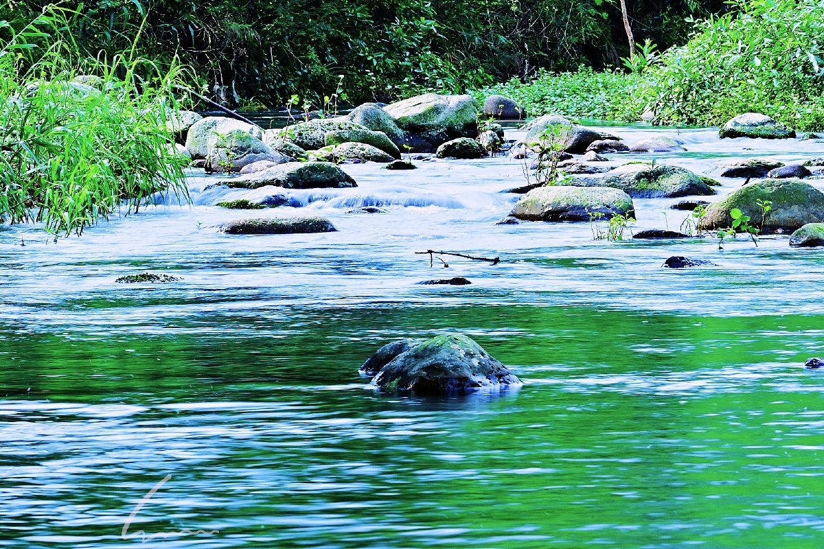 夏日溪水清凉