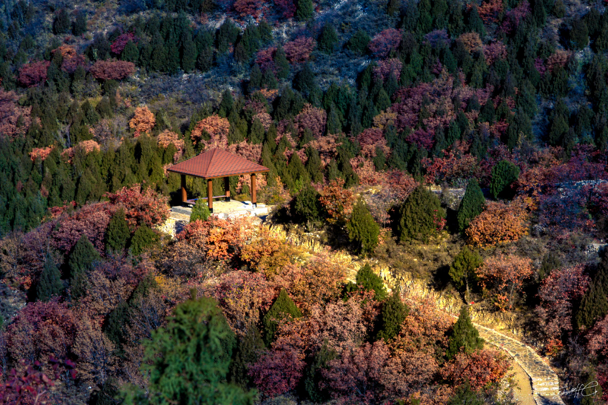 Ag评级 高考必考常见短语归纳 高中英语最常用的526个短语汇总 Ag评级 升学考试 英语 高考 高中英语 高中英语 怀远高中信息网