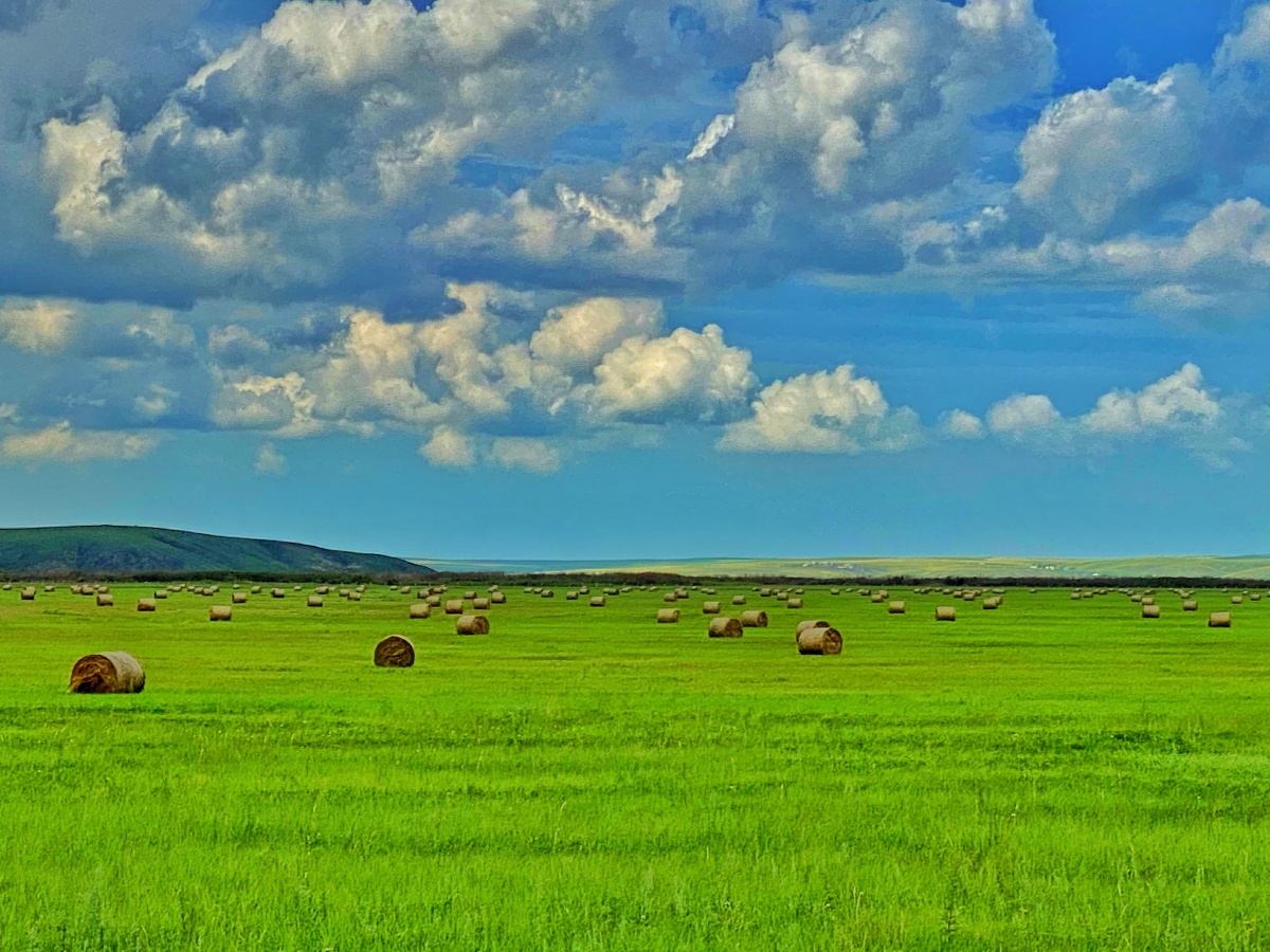 呼伦贝尔大草原边境公路的美景