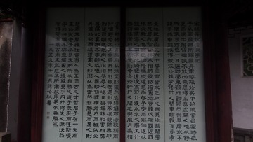 3793025